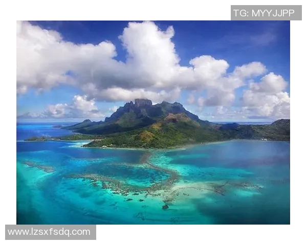 足球明星与凤凰的完美结合高清图片展现魅力与风采